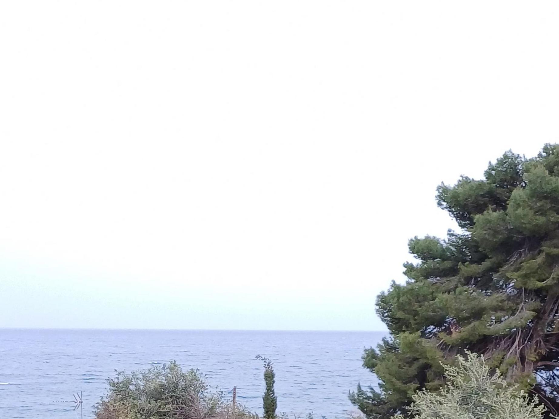 Flora Studios Corfu - Adults Only Mpenitses Værelse billede